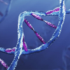 dna